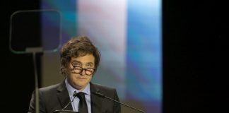 El gobierno de Javier Milei (III)