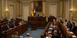 Pleno ordinario 24-06-2025 (tarde)