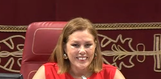 Pleno ordinario 22-07-2025 (Mañana)