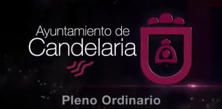Pleno ayuntamiento 30-06-2025