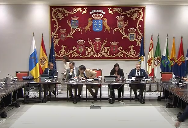 Comisión parlamentaria en Canarias