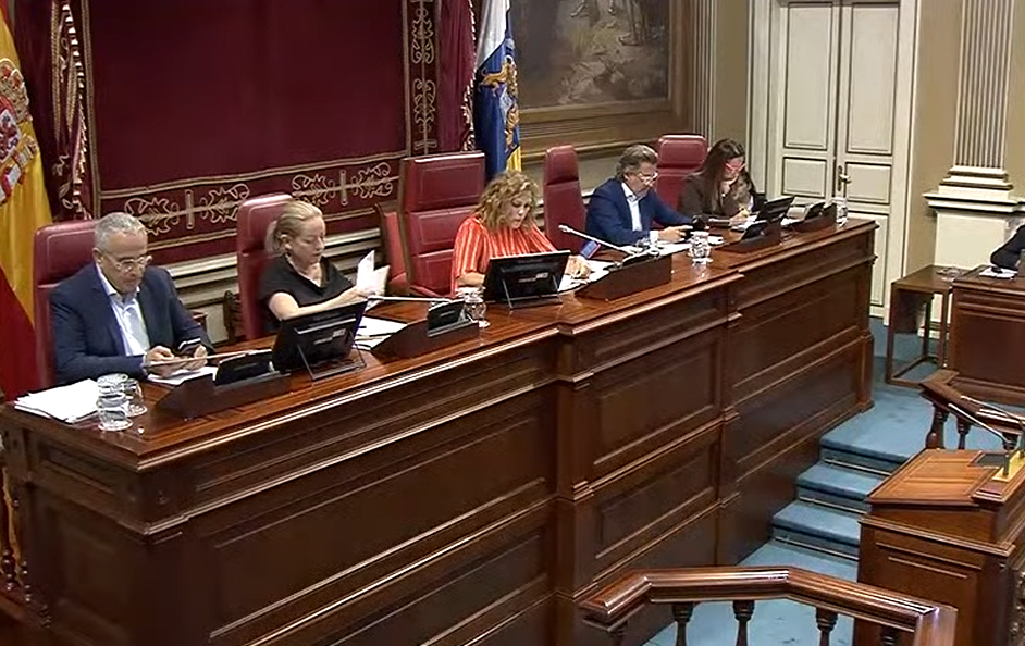 Pleno Canarias 28-10-2025