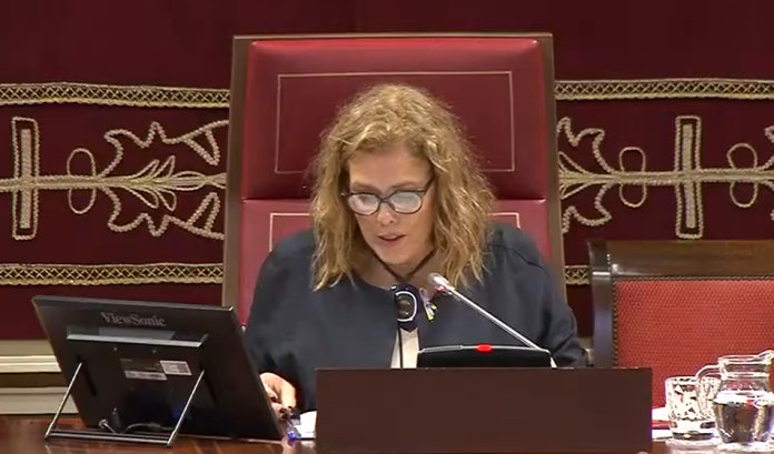 Captura de pantalla 2025-11-27 133844
