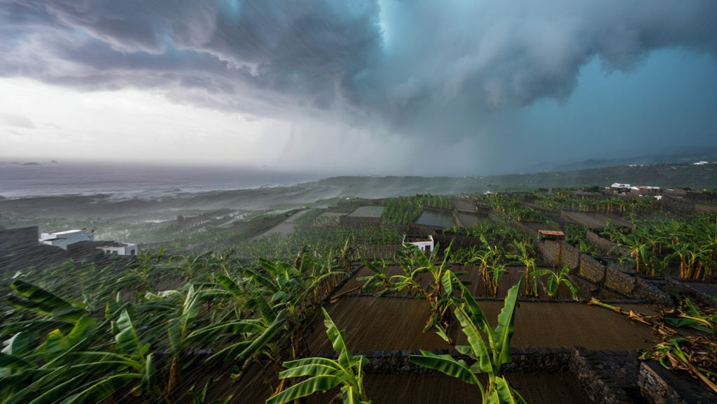 La Tormenta Tropical Delta