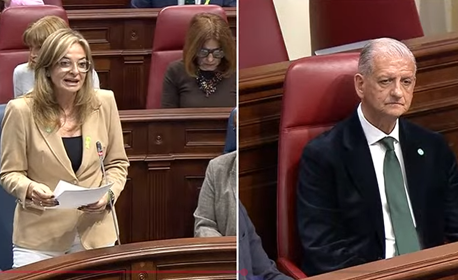 Pleno de Canarias 10-02-2026