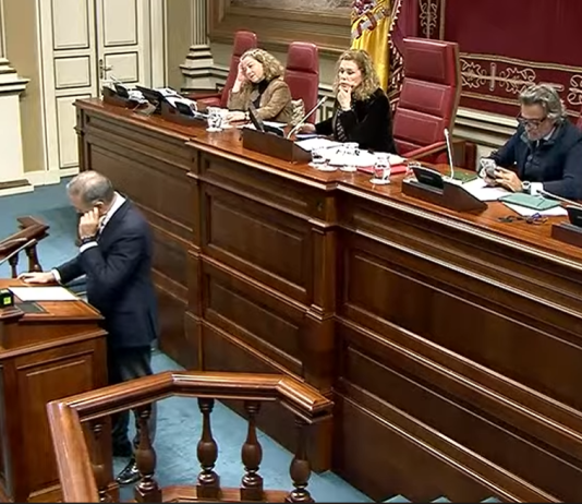 Pleno de Canarias 24-03-2026: Intervenciones Clave