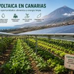 Agrovoltaica en Canarias: Innovación Agrícola Solar