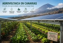 Agrovoltaica en Canarias: Innovación Agrícola Solar