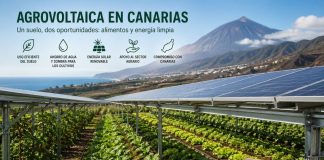Agrovoltaica en Canarias: Innovación Agrícola Solar