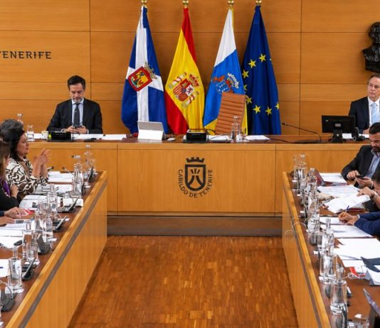 Cabildo de Tenerife: acuerdos y deudas del pleno de junio Sesión plenaria del Cabildo de Tenerife en su salón institucional, con representantes en las mesas de debate, presidencia, banderas oficiales y documentación de trabajo.