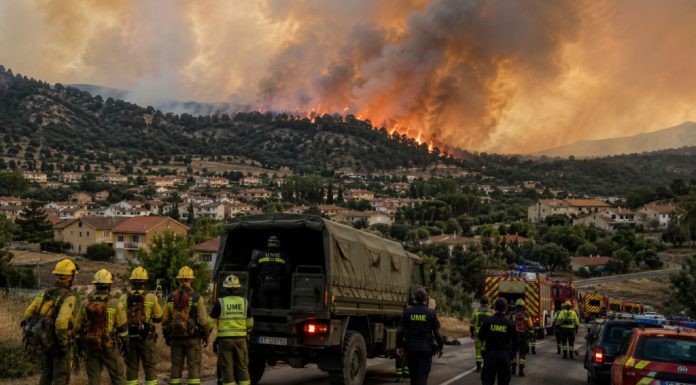 Incendios en Madrid: el coste del negacionismo Incendio forestal avanzando hacia una zona residencial de la Sierra Oeste de Madrid mientras bomberos y efectivos de la UME despliegan el operativo de emergencia.