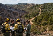 Pacto climático: democracia ante la emergencia Bomberos forestales y técnicos coordinan la recuperación de un monte afectado por un incendio, con una zona quemada y otra arbolada como símbolo de prevención y pacto climático.
