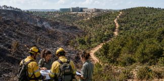 Pacto climático: democracia ante la emergencia Bomberos forestales y técnicos coordinan la recuperación de un monte afectado por un incendio, con una zona quemada y otra arbolada como símbolo de prevención y pacto climático.
