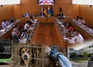 Pleno insular de julio: acuerdos, dinero y credibilidad Salón de plenos del Cabildo de Tenerife con una guagua, un perro en un refugio, una conducción de agua y un centro sociosanitario como símbolos de los asuntos debatidos.
