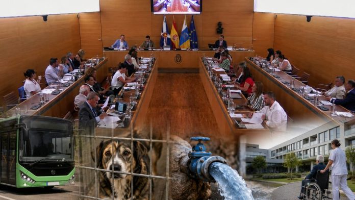 Salón de plenos del Cabildo de Tenerife con una guagua, un perro en un refugio, una conducción de agua y un centro sociosanitario como símbolos de los asuntos debatidos.