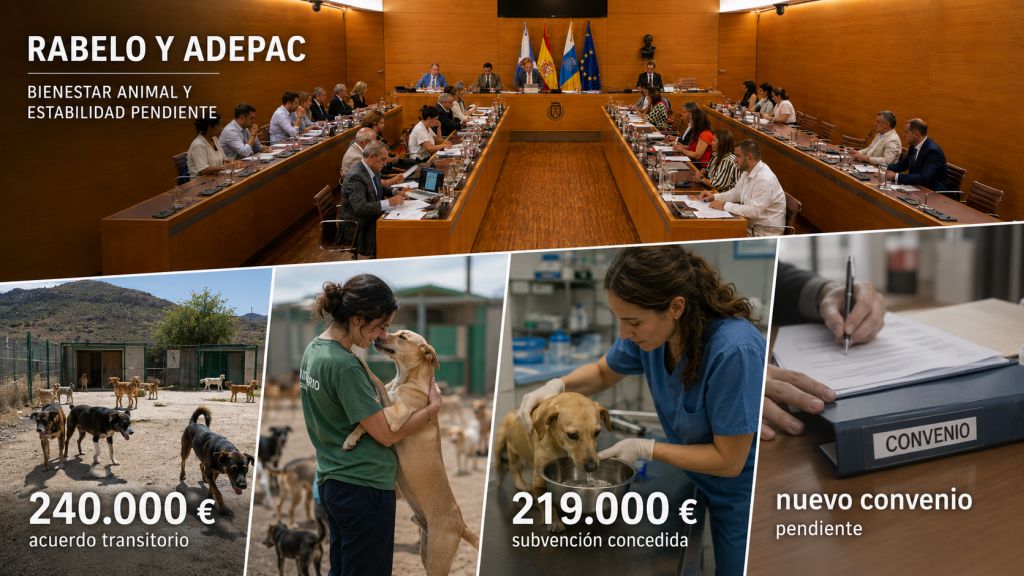 Refugio de animales, voluntaria y veterinaria atendiendo perros, junto a un convenio administrativo, para representar la financiación y la estabilidad pendiente de ADEPAC.