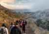 Peregrinación en febrero: Candelaria ante el cambio climático Peregrinos caminan hacia Candelaria por un sendero de Tenerife entre un paisaje seco de verano y otro más frío, simbolizando la adaptación de la tradición al cambio climático.
