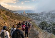 Peregrinación en febrero: Candelaria ante el cambio climático Peregrinos caminan hacia Candelaria por un sendero de Tenerife entre un paisaje seco de verano y otro más frío, simbolizando la adaptación de la tradición al cambio climático.
