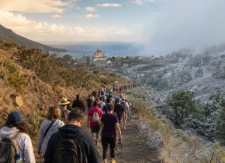 Peregrinación en febrero: Candelaria ante el cambio climático Peregrinos caminan hacia Candelaria por un sendero de Tenerife entre un paisaje seco de verano y otro más frío, simbolizando la adaptación de la tradición al cambio climático.