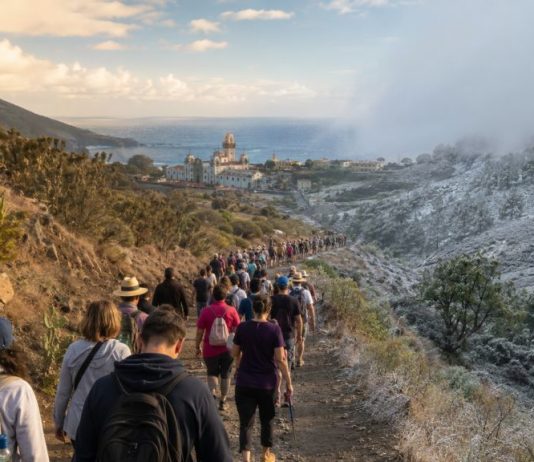 Peregrinación en febrero: Candelaria ante el cambio climático Peregrinos caminan hacia Candelaria por un sendero de Tenerife entre un paisaje seco de verano y otro más frío, simbolizando la adaptación de la tradición al cambio climático.